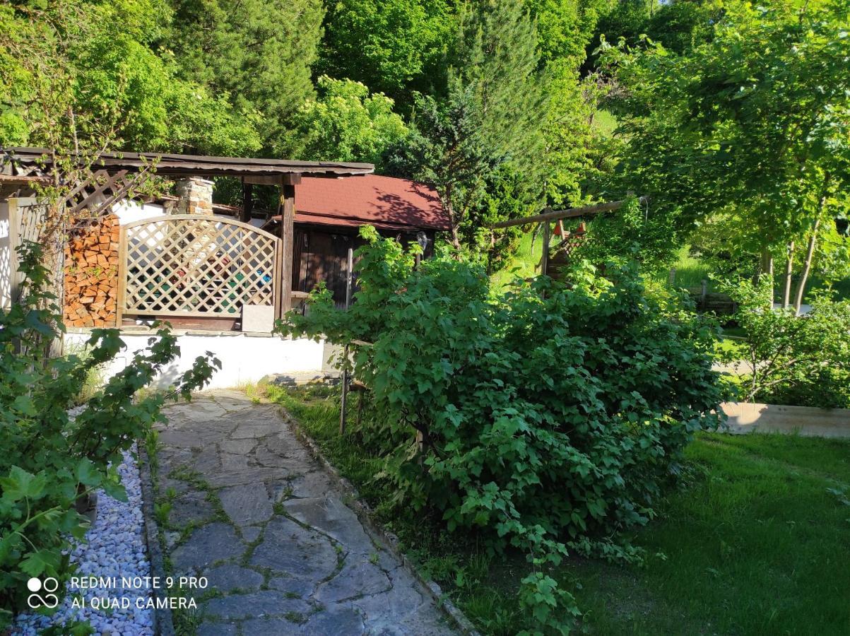 Ferienhaus Kraiter Appartement Schladming Buitenkant foto